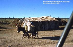Images d'Algerie 318h